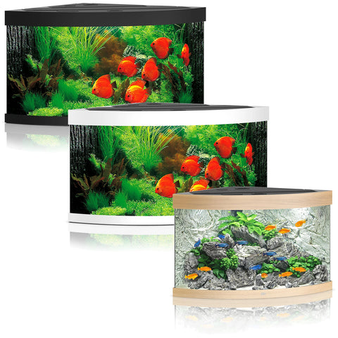 Juwel Trigon Aquarium