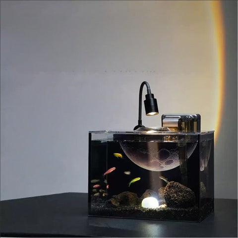 Moon Tank Set - Apex AquaticMoon Tank Set