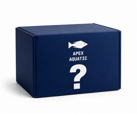 What's in the Box? | Apex Aquatic Mystery Packs