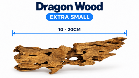 WYLD Dragon Wood - Apex AquaticWYLD Dragon Wood