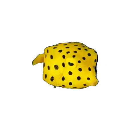 Yellow Boxfish - Apex AquaticYellow Boxfish
