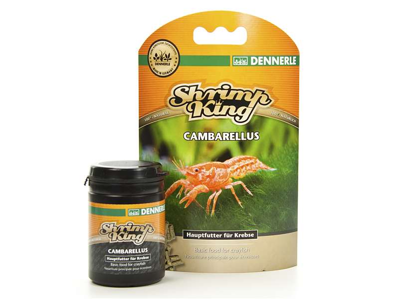 Shrimp King Cambarellus