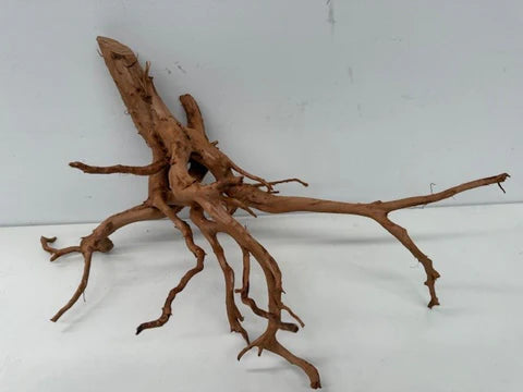 Natural Products Red Indonesian Forest Wood