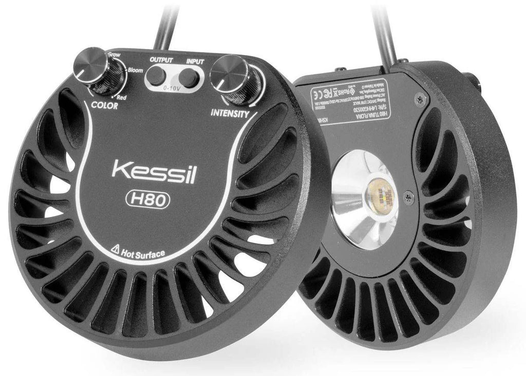 Kessil H80