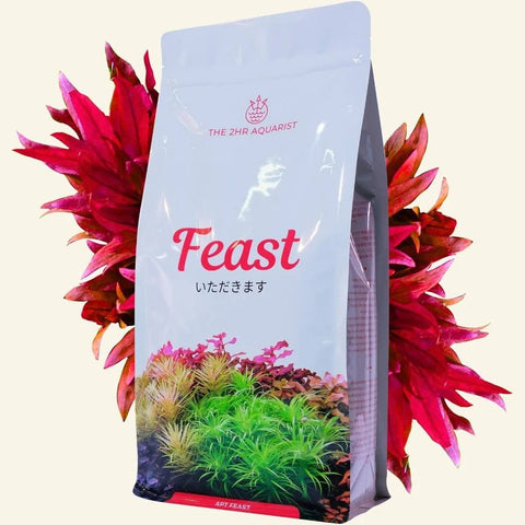 2Hr Aquarist APT Feast - Apex Aquatic2Hr Aquarist APT Feast