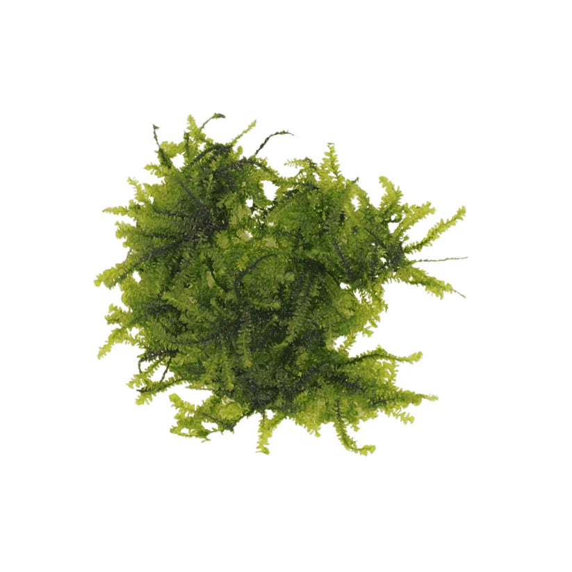 AquaLabs Moss