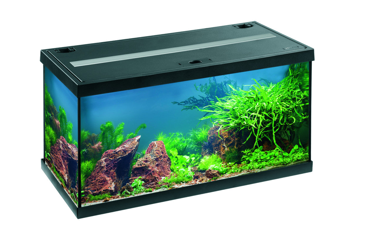 EHEIM Aquastar 54 LED