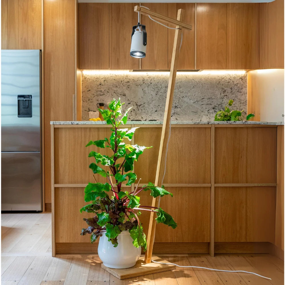 Gathera Sun Bulb Mounts
