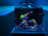 Waterbox Clear - photo 4