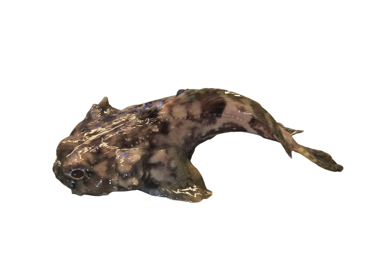Sculpture Frogfish