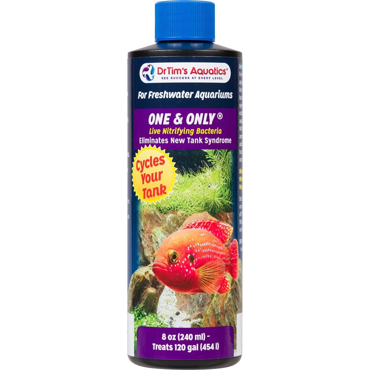 Dr Tims One and Only Freshwater