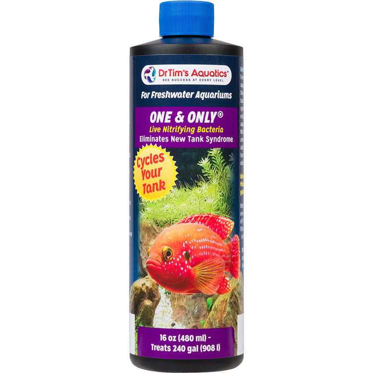 Dr Tims One and Only Freshwater