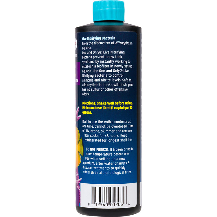 Dr Tims One and Only Marine