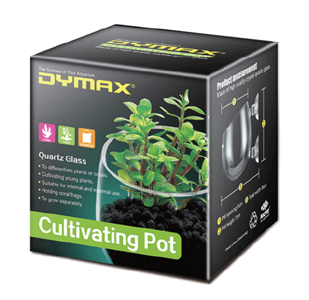 Dymax Crystal Cultivating Pot