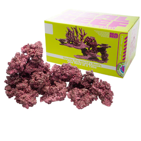 Real Reef Rock Box