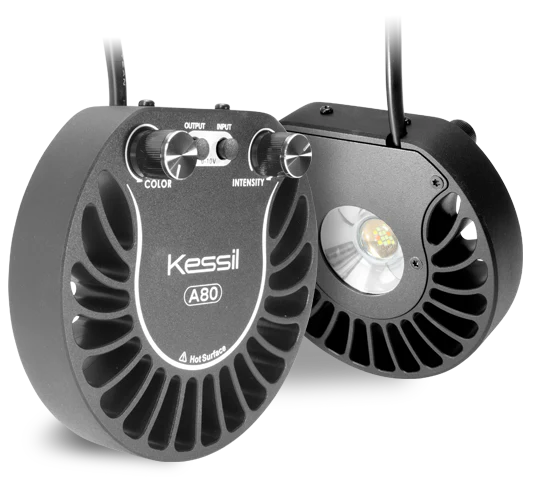 Kessil A80