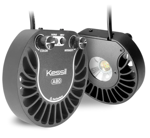 Kessil A80