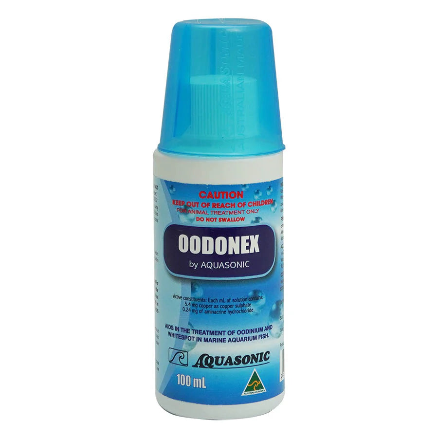 Aquasonic Oodonex