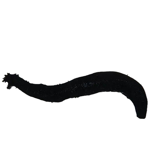 Smooth Black Cucumber
