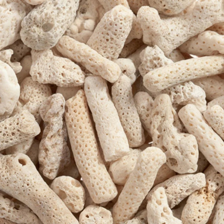 Coral Bone