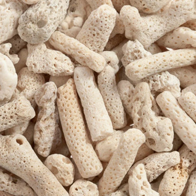 Coral Bone
