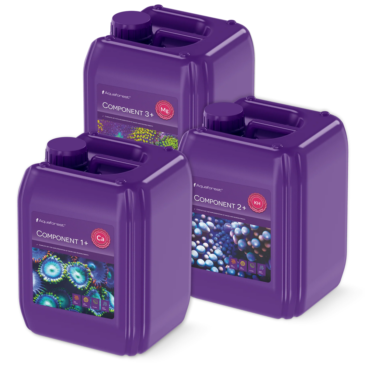 Aquaforest Component 1+2+3+