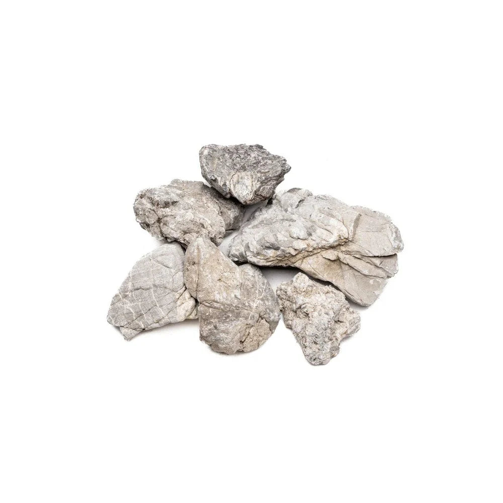 Natural Products Elephant Skin