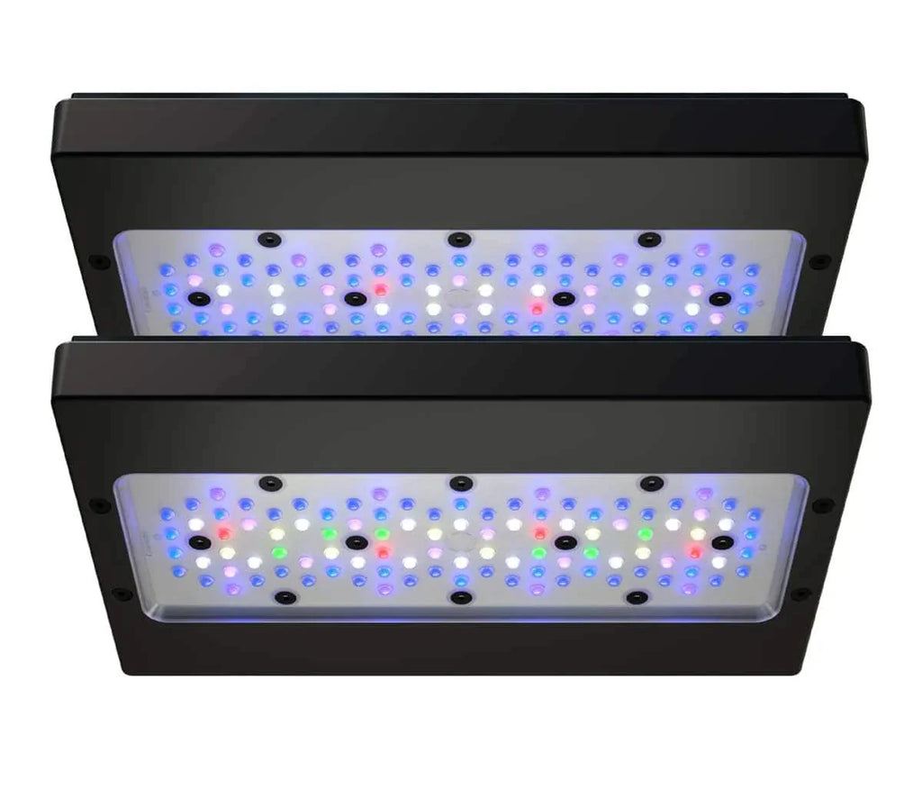 Ecotech Radion Gen6