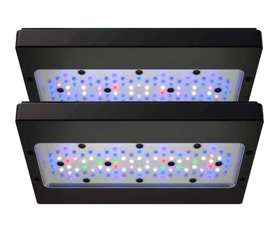 Ecotech Radion Gen6