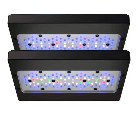 Ecotech Radion Gen6
