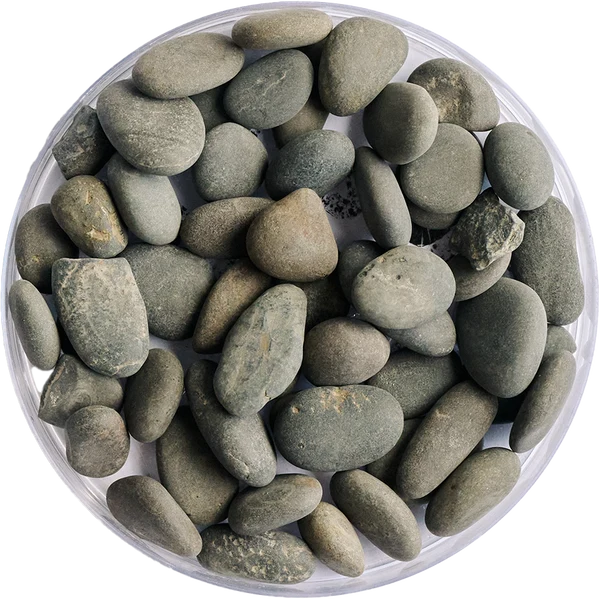 Golden Tree Black Stone Gravel