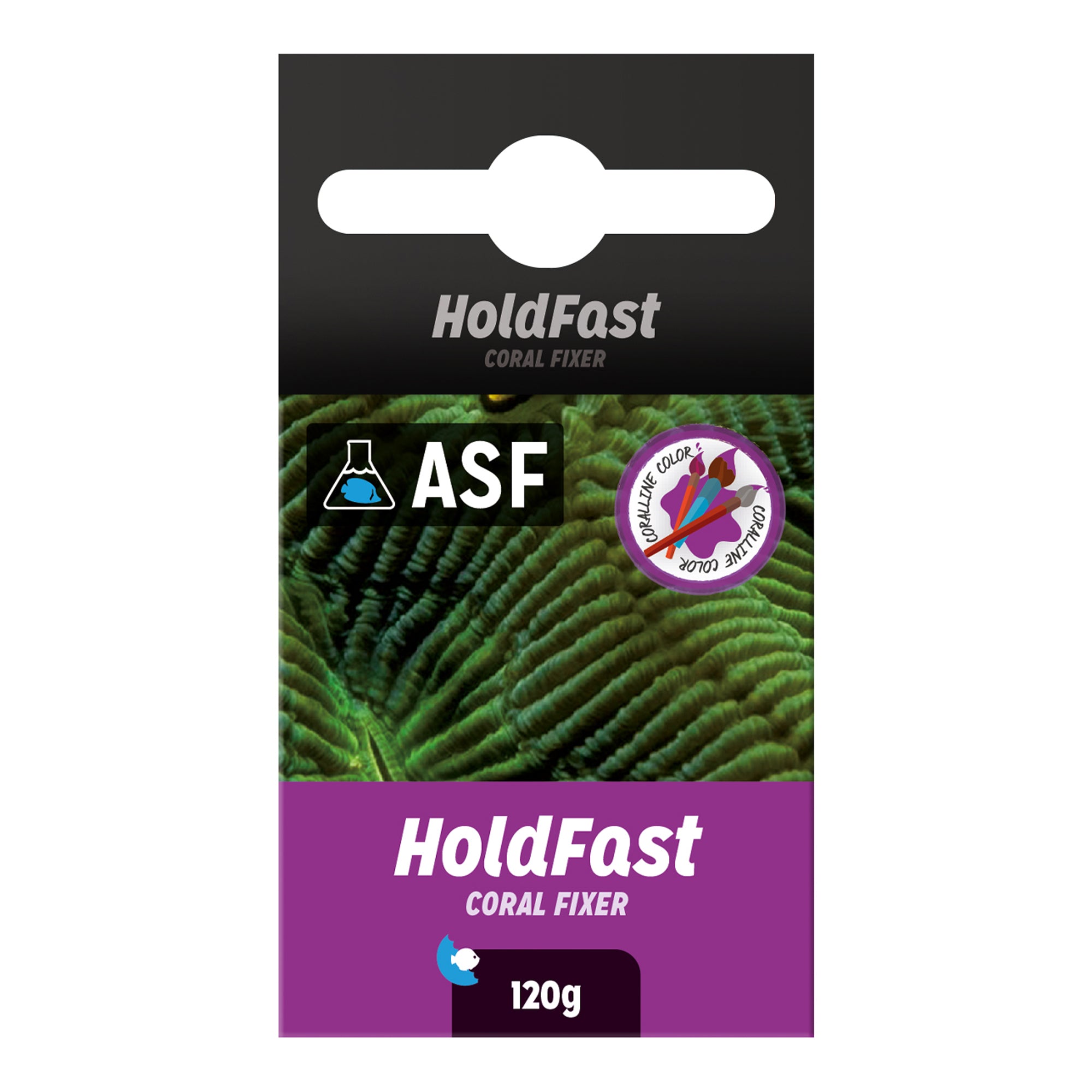 Aquarium Systems Holdfast Epoxy