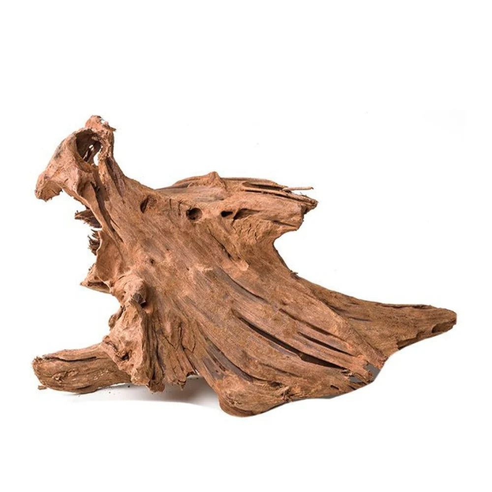 AP Natural Malaysian Driftwood