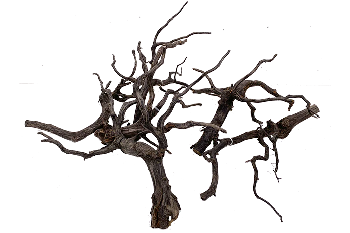 Natural Products Dark Indo Wood