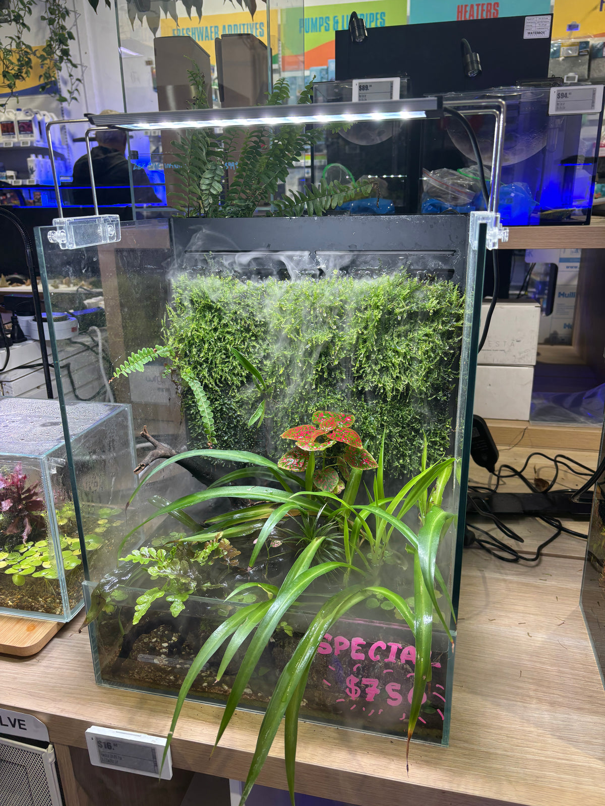 UNS Foresta 35E Fully Planted Display Aquascape