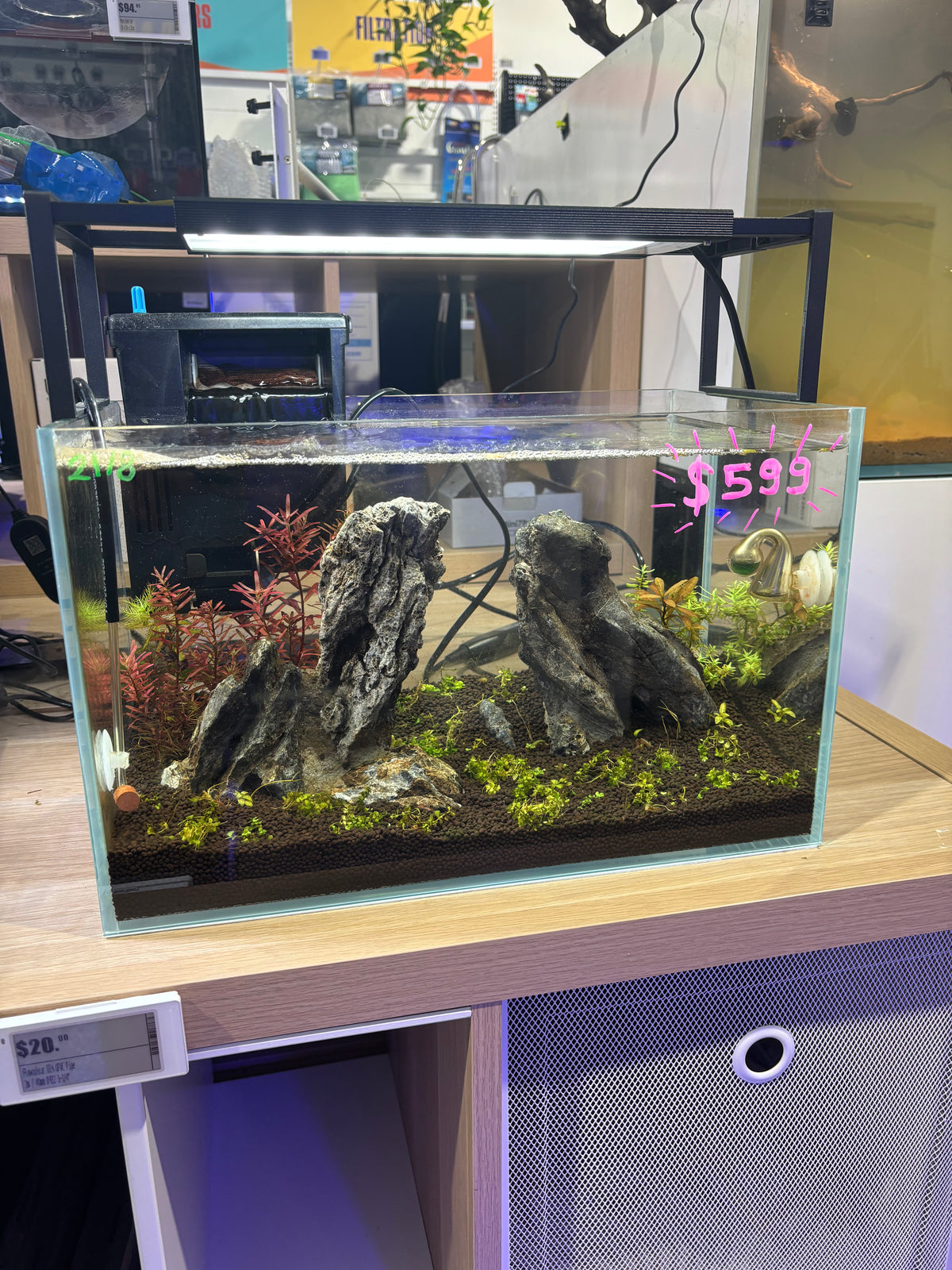 Aquatico Fully Planted Display Aquascape (Neo Helios 300, Seachem Tidal 35 & Live Plants Included)