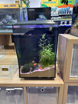 Bioscape Curve Aquarium Black 50L - Fully Planted & Aquascaped Display Tank - photo 1