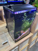 Bioscape Curve Aquarium Black 50L - Fully Planted & Aquascaped Display Tank - photo 2