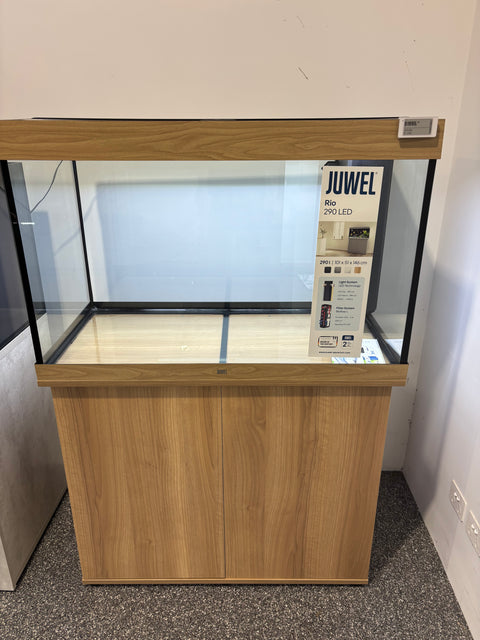 Juwel Rio 290 Light Wood (In Store Display)