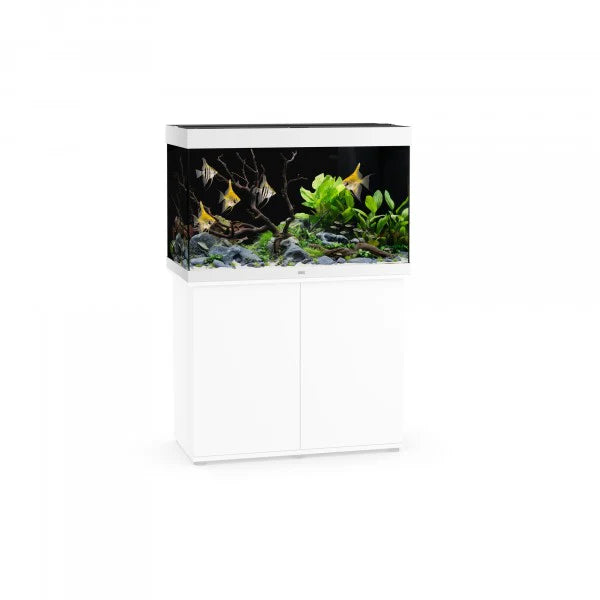 Juwel Rio Aquarium