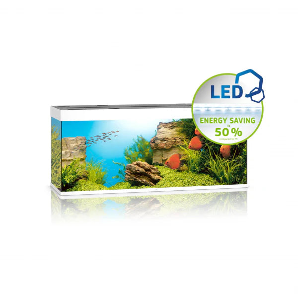 Juwel Rio Aquarium