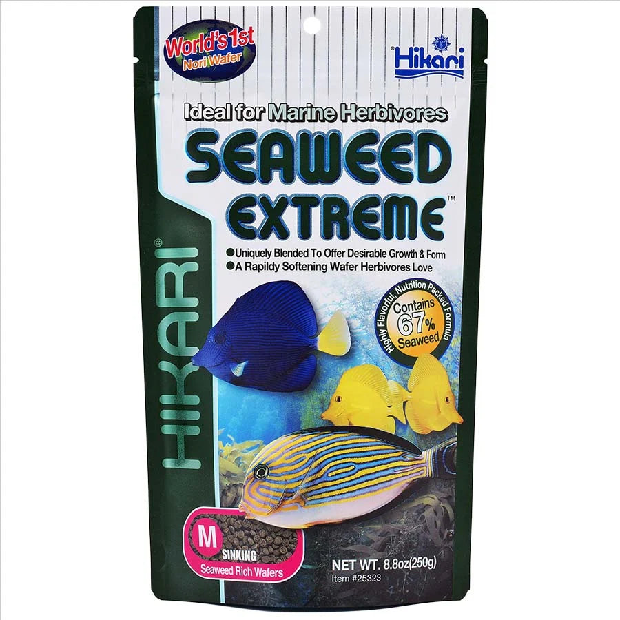 Hikari Seaweed Extreme