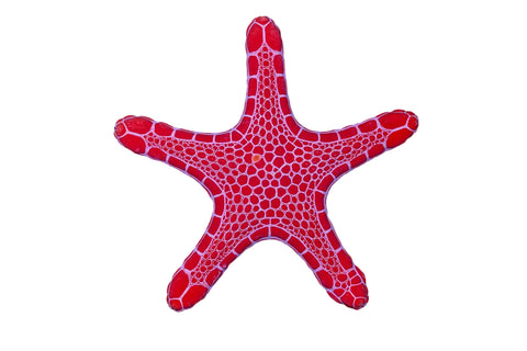 Biscuit Starfish