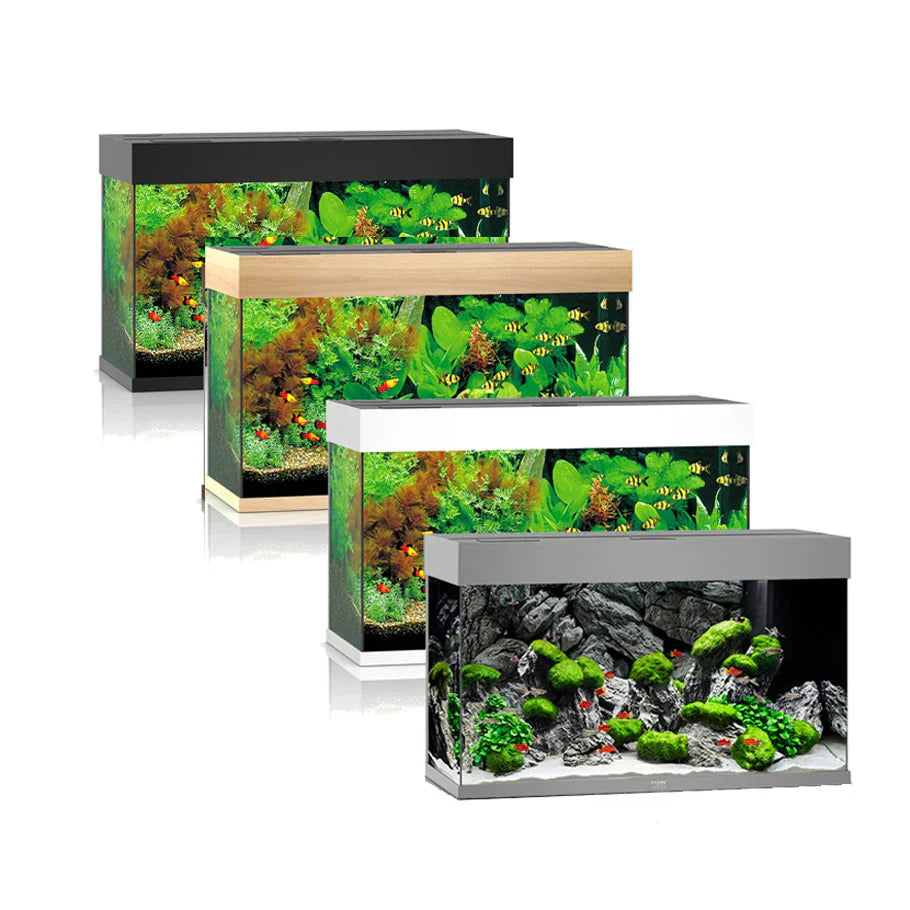 Juwel Rio Aquarium