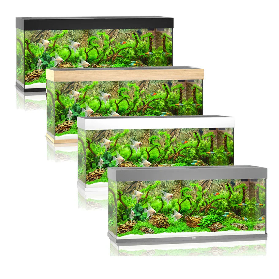 Juwel Rio Aquarium
