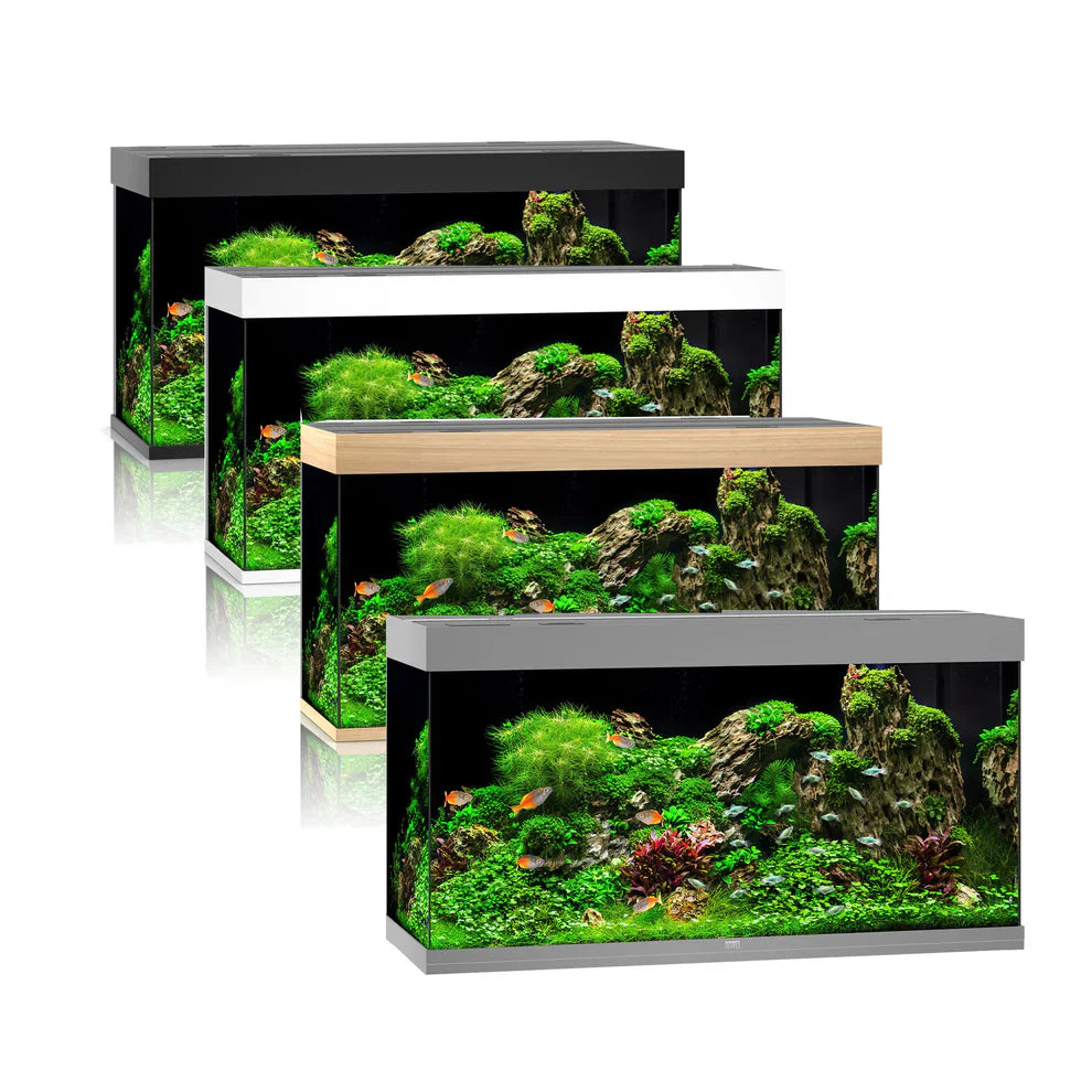 Juwel Rio Aquarium