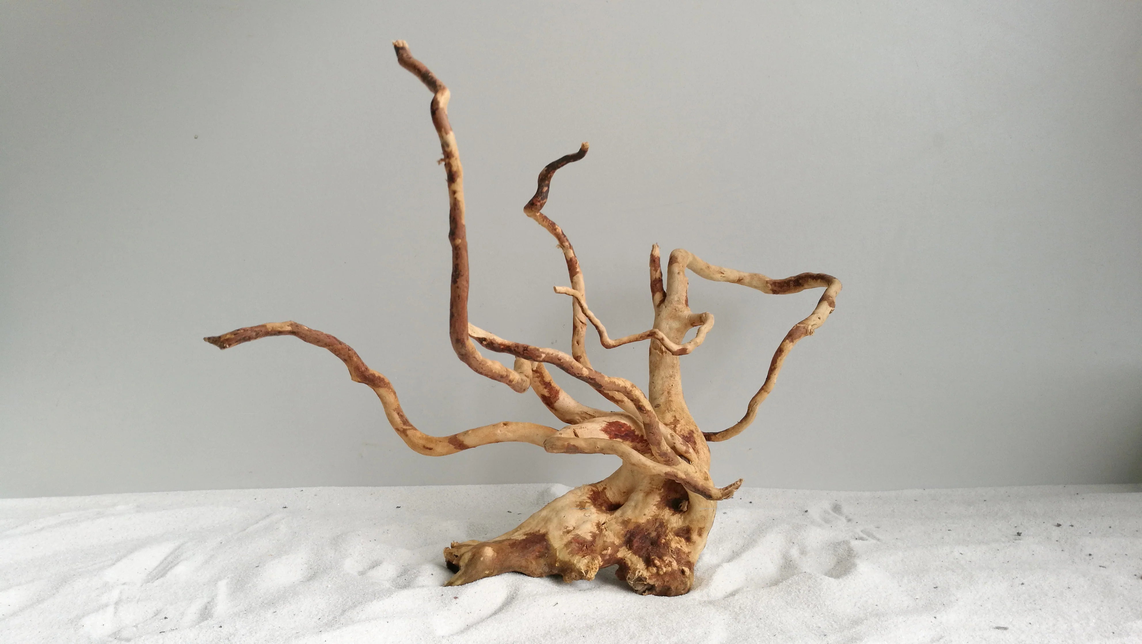 Natural Products Gold Vine Wood