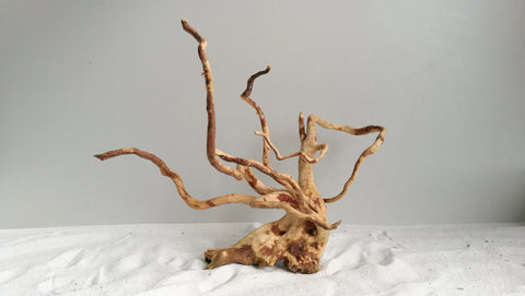 Natural Products Gold Vine Wood