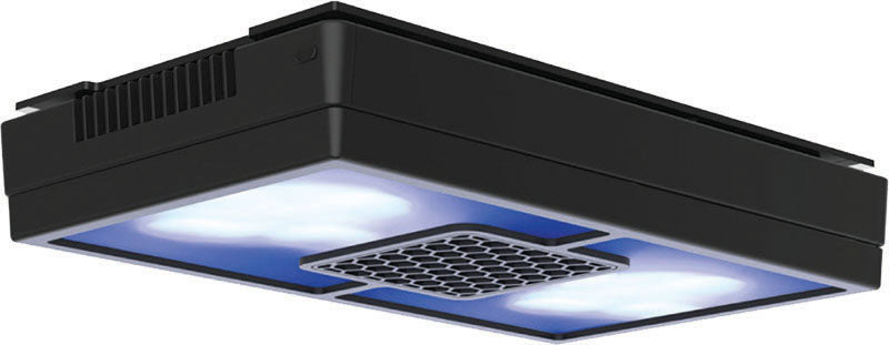 Ecotech Radion Accessories