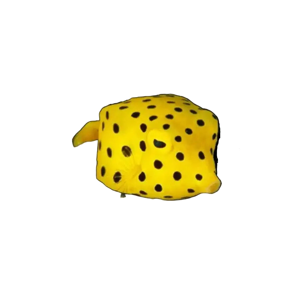 Yellow Boxfish